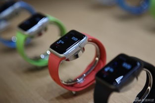 Apple Watch智能手表现场实拍 三大版本魅力实窥